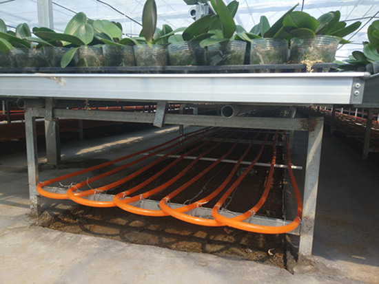 農(nóng)業(yè)種植、養(yǎng)殖地源熱泵供暖系統(tǒng)